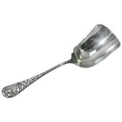 Tiffany Aesthetic Sterling Silver Berry Scoop