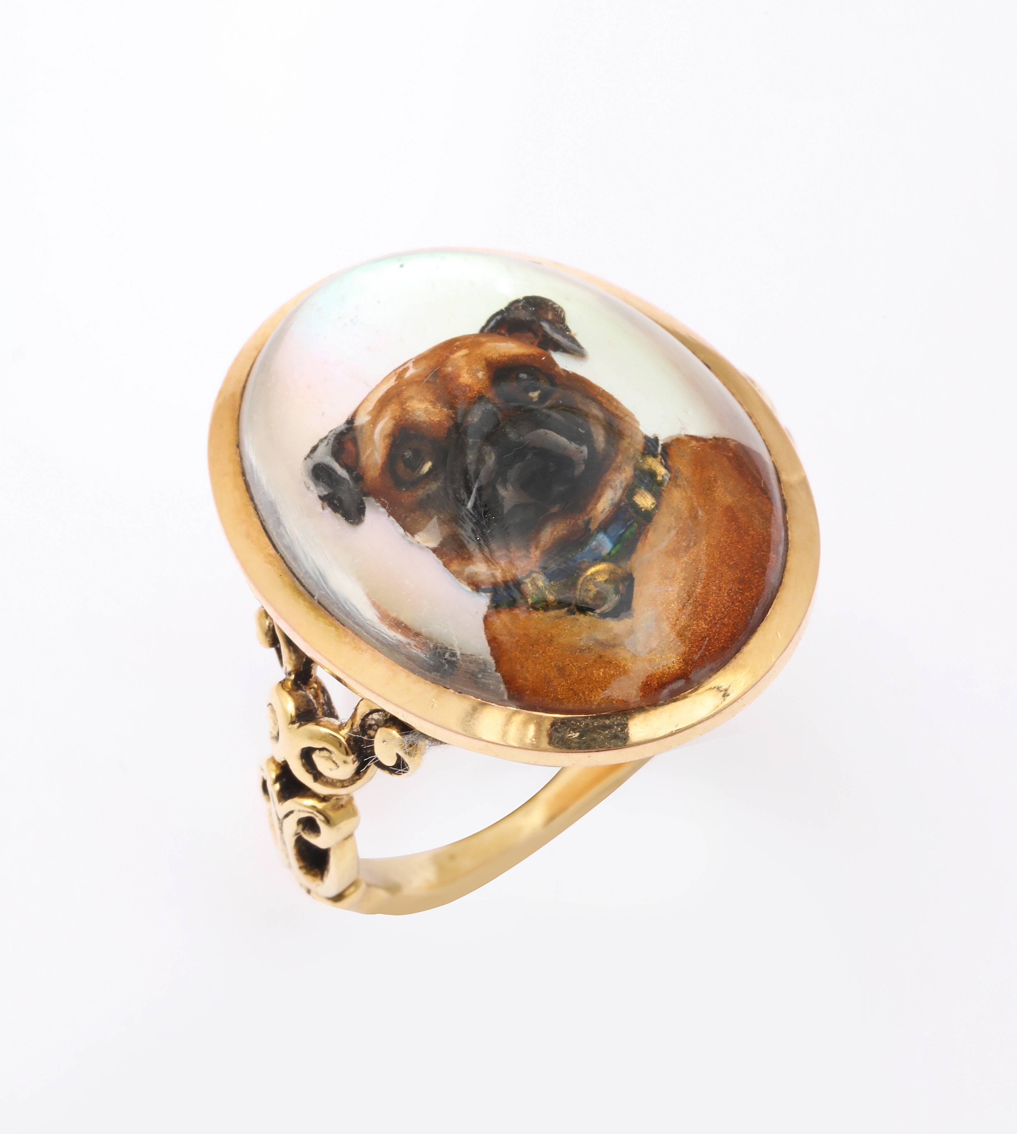 A self composed proud pug carved and painted on the reverse of a rock crystal Victorian ring sports an antique dog collar with a suspended heart. The background glistens. The brown and black pup pops forward, his nose at the crystal, his loving eyes