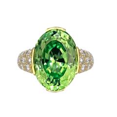 Susan Sadler 9.68 Carat Oval Tsavorite Diamond Gold Basket Ring 11