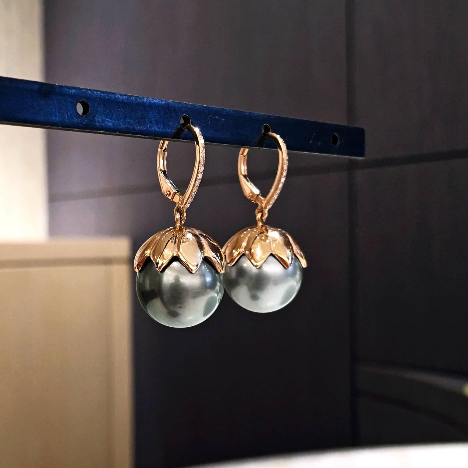 tahitian pearl drop earrings