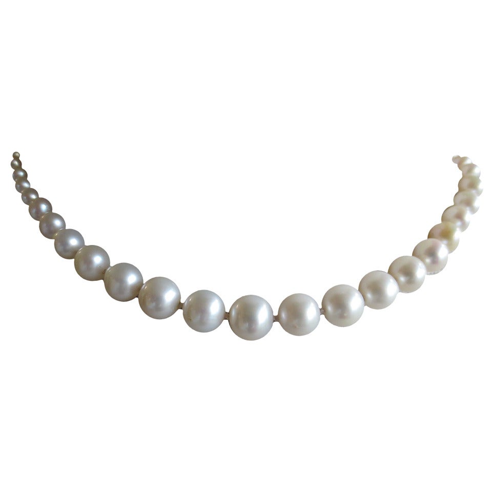 Marina J. Graduated White Pearl Bridal Necklace with 14K Yellow Gold Clasp