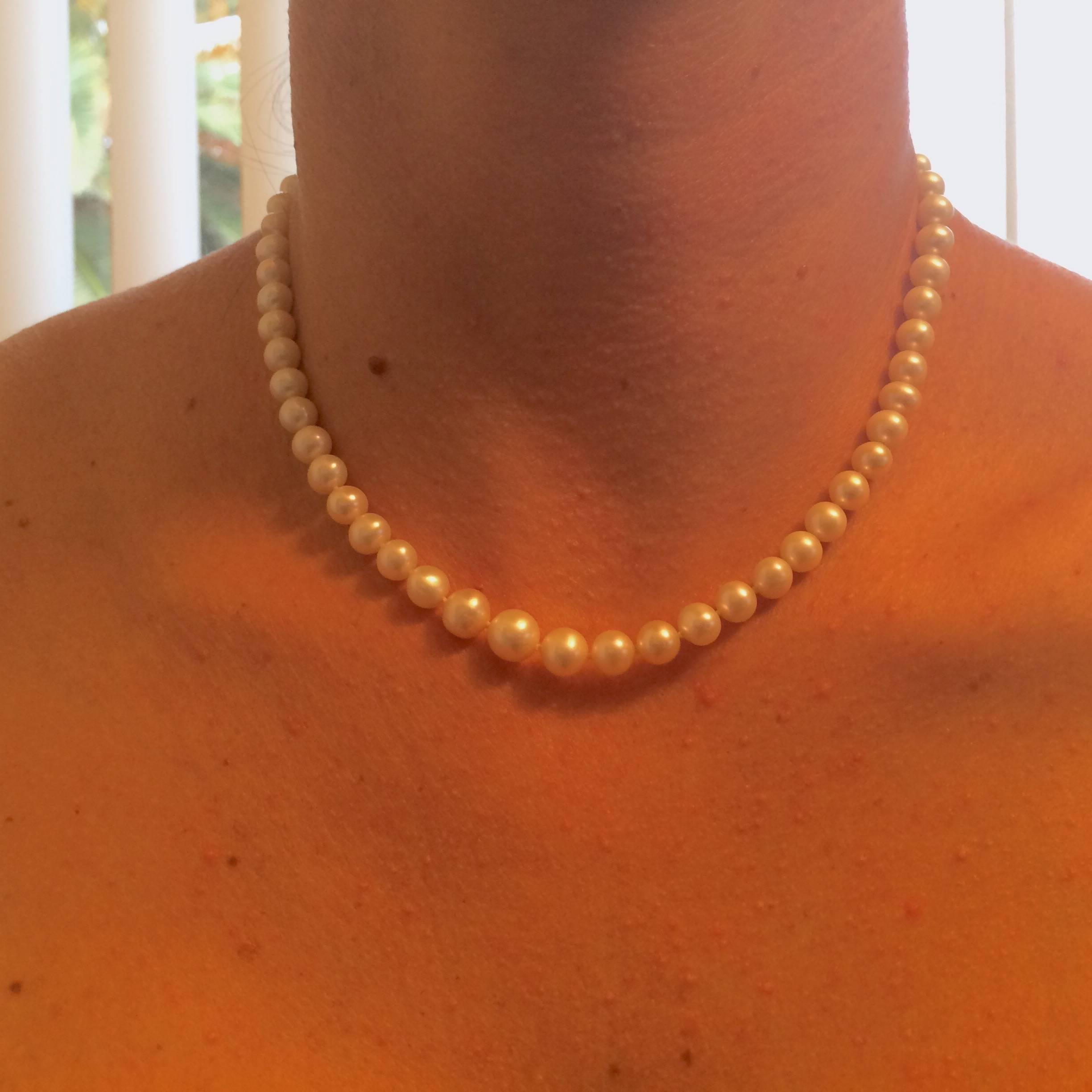 Women's Marina J. Graduated White Pearl Bridal Necklace with 14K Yellow Gold Clasp