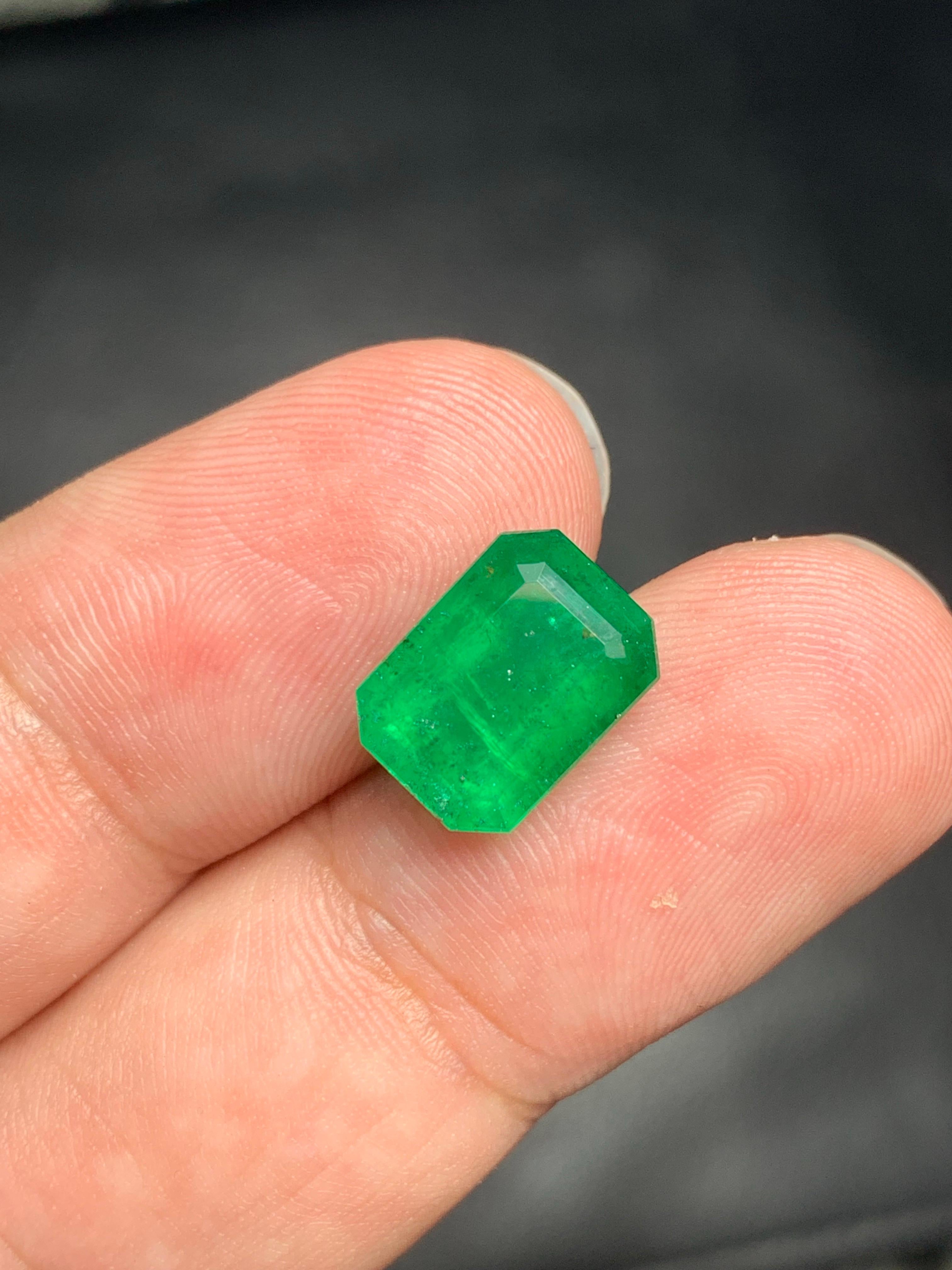 4,50 Karat natürlicher loser Smaragd Edelstein aus Swat  Tal, Pakistan im Angebot 2