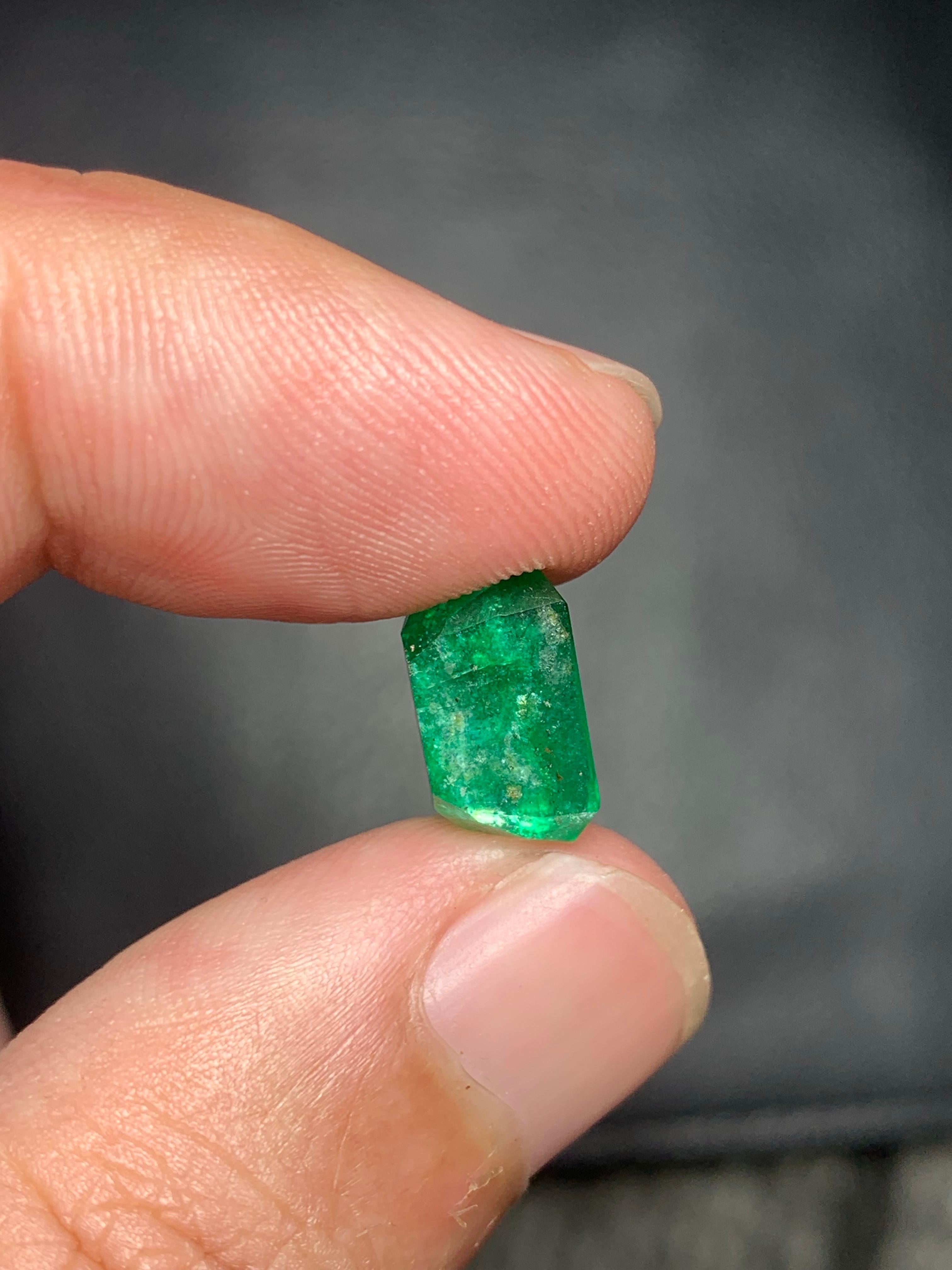 4,50 Karat natürlicher loser Smaragd Edelstein aus Swat  Tal, Pakistan im Angebot 3