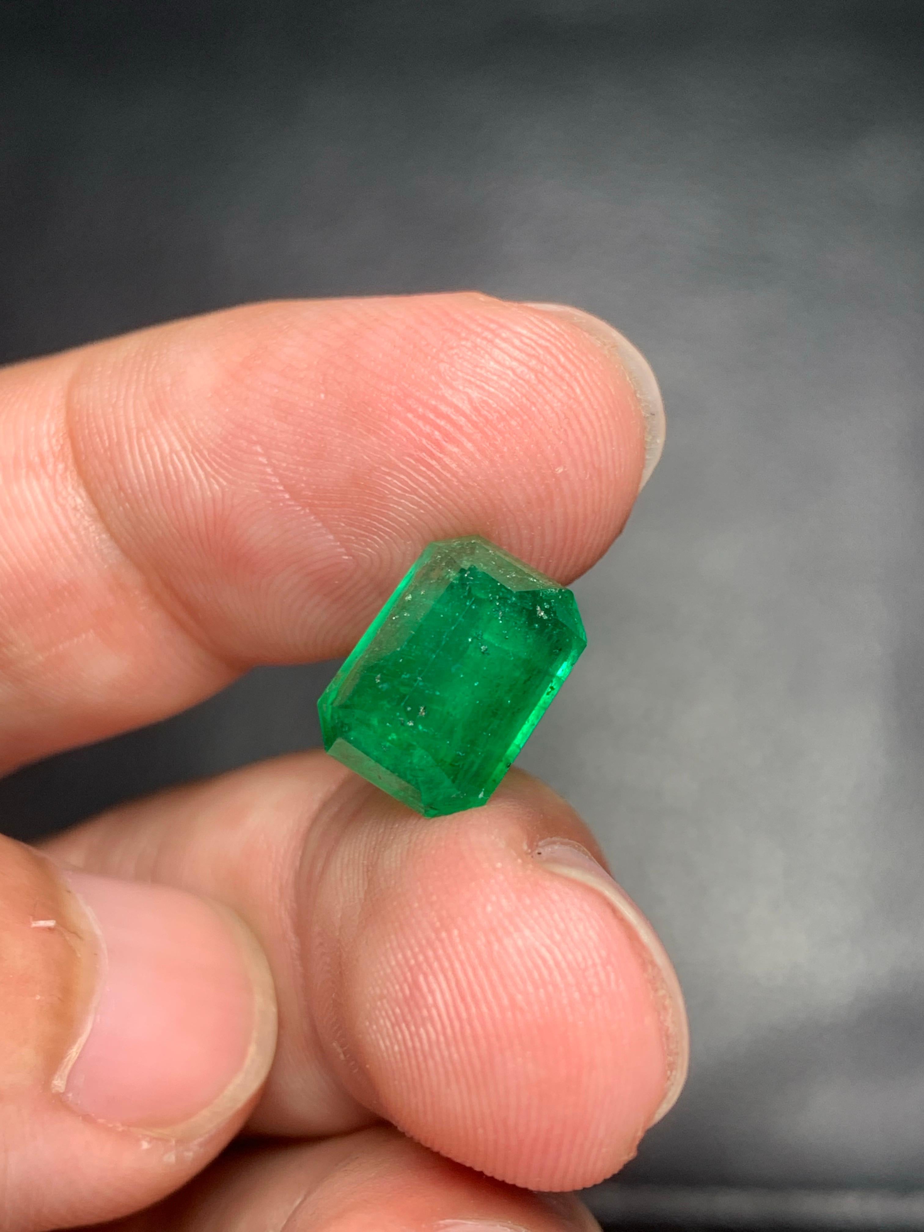 4,50 Karat natürlicher loser Smaragd Edelstein aus Swat  Tal, Pakistan im Angebot 4