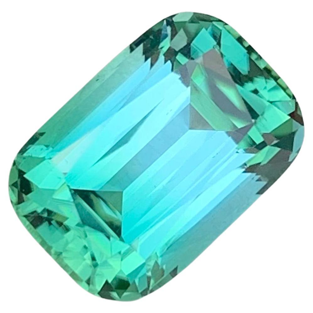 Top Quality 5.45 Carats Natural Loose Bicolor Seafoam Tourmaline