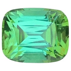 2.65 Carat Natural Loose Blue Green Tourmaline Cushion Shape Gemstone