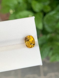 Mali Garnet 2.85 Carat Loose Gemstone From Mali Africa