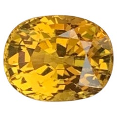 Mali Garnet 2.85 Carat Loose Gemstone From Mali Africa