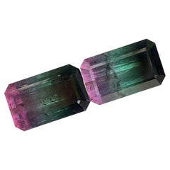 Tri-Color Tourmaline Pair 19.40 Carat Loose Gemstone For Earring