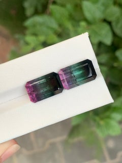 Tri-Color Tourmaline Pair 19.40 Carat Loose Gemstone For Earring