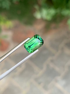 3.65 Carat Blue Green Tourmaline Cushion Cut Gemstone