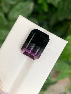 16.15 Carat Bi Colour Tourmaline Octagon Cut Gemstone