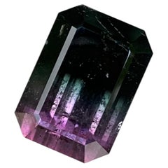 16.15 Carat Bi Colour Tourmaline Octagon Cut Gemstone