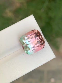15.75 Carat Bi-Colour Tourmaline Loose Gemstone by Fine Faceted Gems