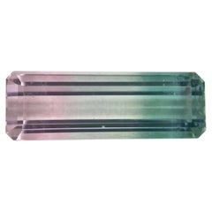4.87ct Bi-Color Watermelon Tourmaline