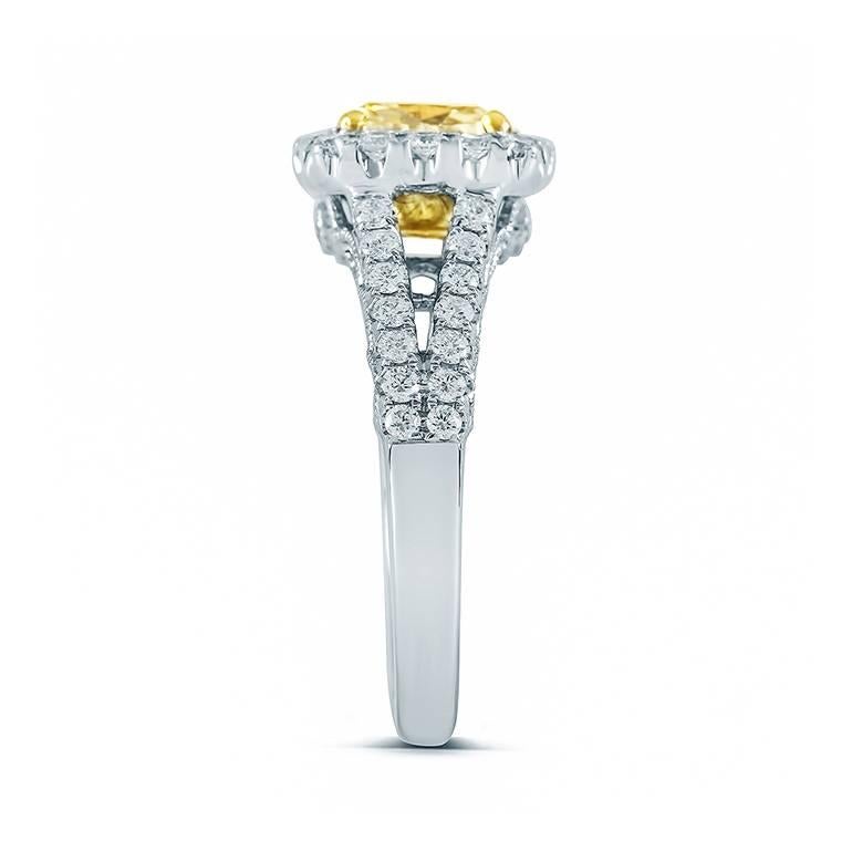 We present this striking, Diamond Engagement Ring skillfully crafted from 18K two tone gold symbolizing everlasting love and commitment!

The center stone carried on this piece is a 1.51ct EGL Certified Cushion cut diamond with Fancy Intense