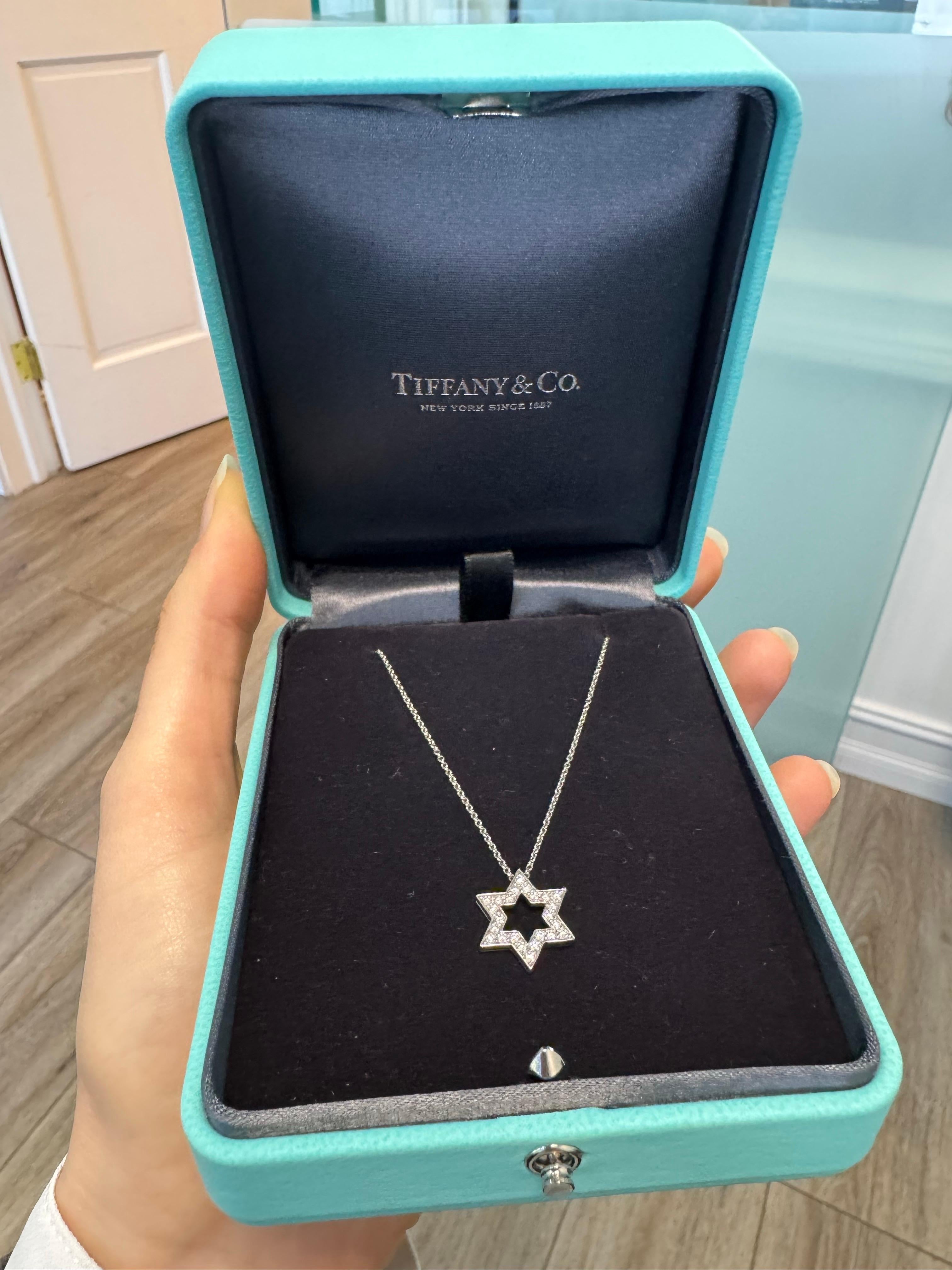 Women's Tiffany & Co. Natural 0.24 Carat Diamond Star Platinum Necklace In Stock