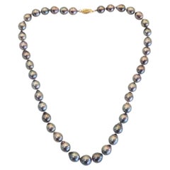 14K Gold Clasp 8-10mm Black South Sea Pearl Necklace, 17 inches