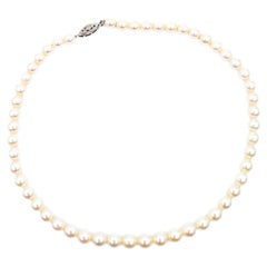 Classic Akoya Pearl Necklace in 14k White Gold