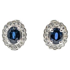 Oval Blue Sapphire & Diamond Halo Earrings in 14k White Gold