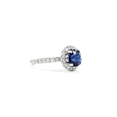 Sapphire & Diamond Ring in 14k White Gold