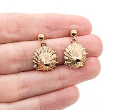 Textured Shell Drop Earrings in 14k Yellow Gold