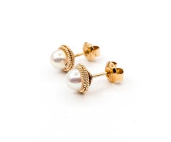 Classic Pearl Stud Earrings in 14k Yellow Gold