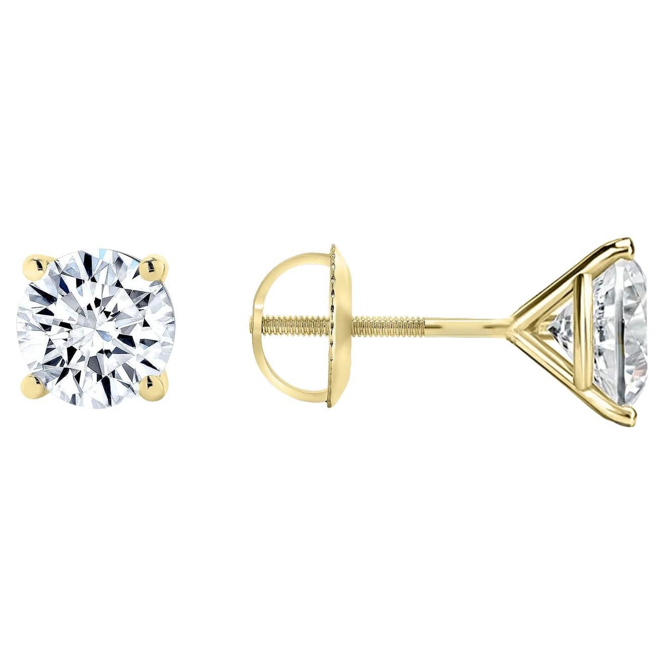 Four Prong Screw Back 14K Gold Martini Stud Earrings