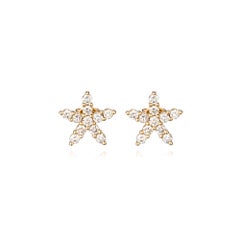 Pendientes Estrella Aurora Dorada Oro Amarillo 14K