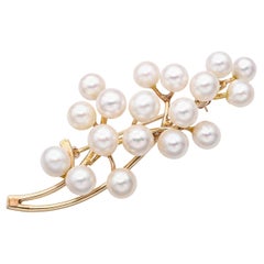 Brooches