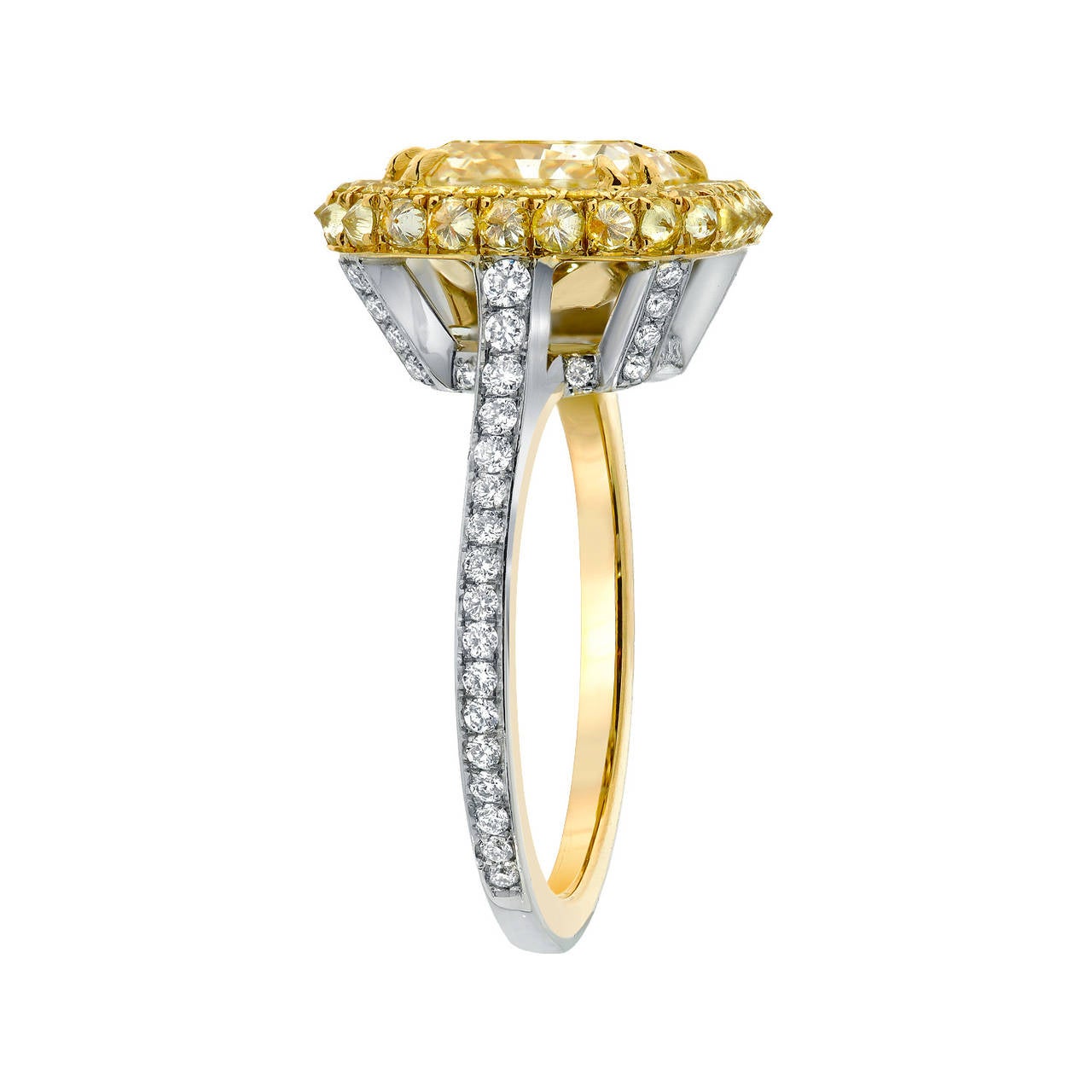 Tamir Radiant 3.02 Carat GIA Cert Yellow Diamond Gold Platinum Ring In New Condition In Beverly Hills, CA