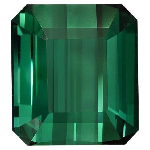 7.38 carat Green Tourmaline emerald-cut gem, offered loose to a classic lady or gentleman.
Returns are accepted and paid by us within 7 days of delivery.
We offer supreme custom jewelry work upon request. Please contact us for more details.
For your