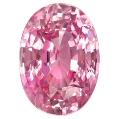 Padparadscha Sapphire Ring Gem 2.32 Carat Oval Loose Gemstone GIA Certified