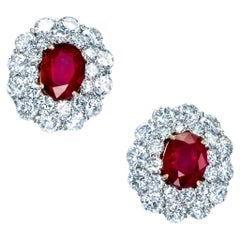 Burmese Ruby and Diamond Cluster Earrings in Platinum