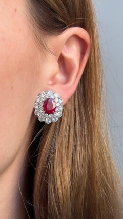 Burmese Ruby and Diamond Cluster Earrings in Platinum