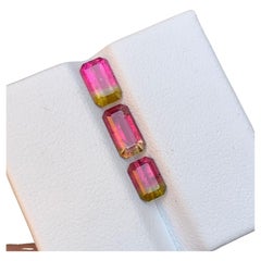 Gemme di tormalina naturale (Elbaite) bicolore verde e rosa, 2.60 carati