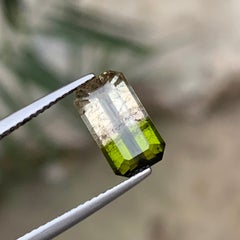 Green & Golden Bicolor Tourmaline 3.06 Carat Emerald Cut Loose Gemstone for Ring