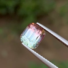Bicolor Natural Tourmaline 2.40 Carat Cushion Cut Loose Gemstone for Ring