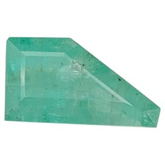 10.45 Ct Natural Green Emerald Trapezoid Emerald Cut Loose Gemstone for Pendant