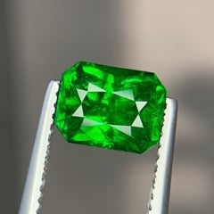 Vivid Green Natural Tsavorite Garnet 2.32 Ct Octagon Cut Loose Gemstone for Ring