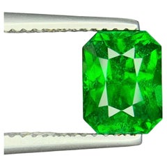 Vivid Green Natural Tsavorite Garnet 2.32 Ct Octagon Cut Loose Gemstone for Ring