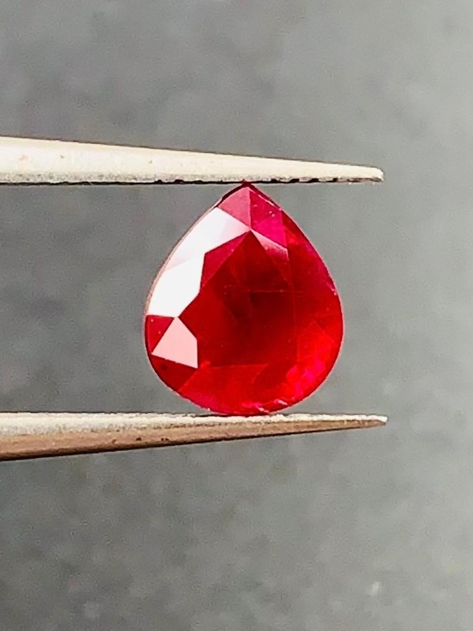 bixbite price