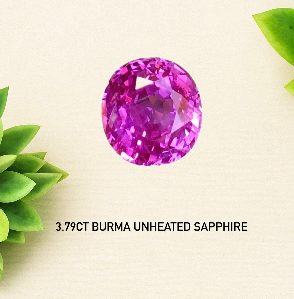 Seltener natürlicher unerhitzter Saphir GUILD-Zertifikat  Burma lila 3,79 kt, burma lila (Ovalschliff) im Angebot