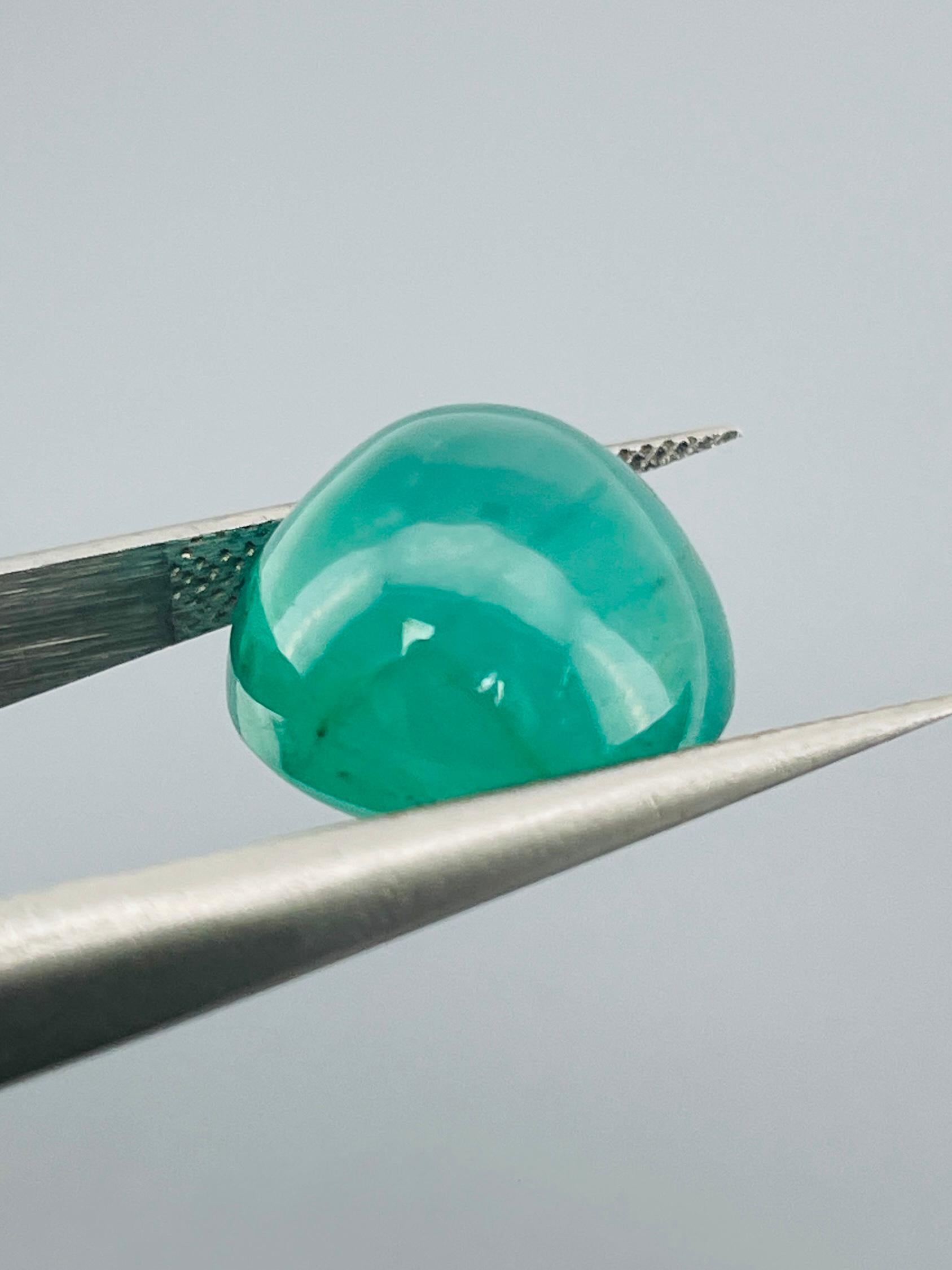 16.07Ct GRS SSEF Zertifikat Welt Sammlung Größte Größe Burma Rubin unerhitzt im Angebot 4