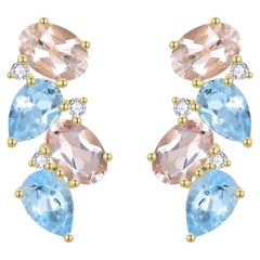 Orecchini a grappolo Nina Zhou Nosa con acquamarina, morganite e diamanti da 4,30 ct.