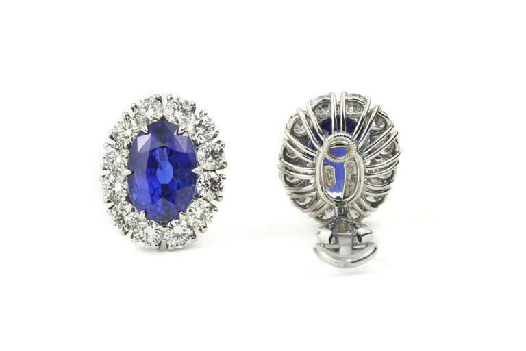 Contemporary Julius Cohen Natural Sapphire & Diamond Earrings