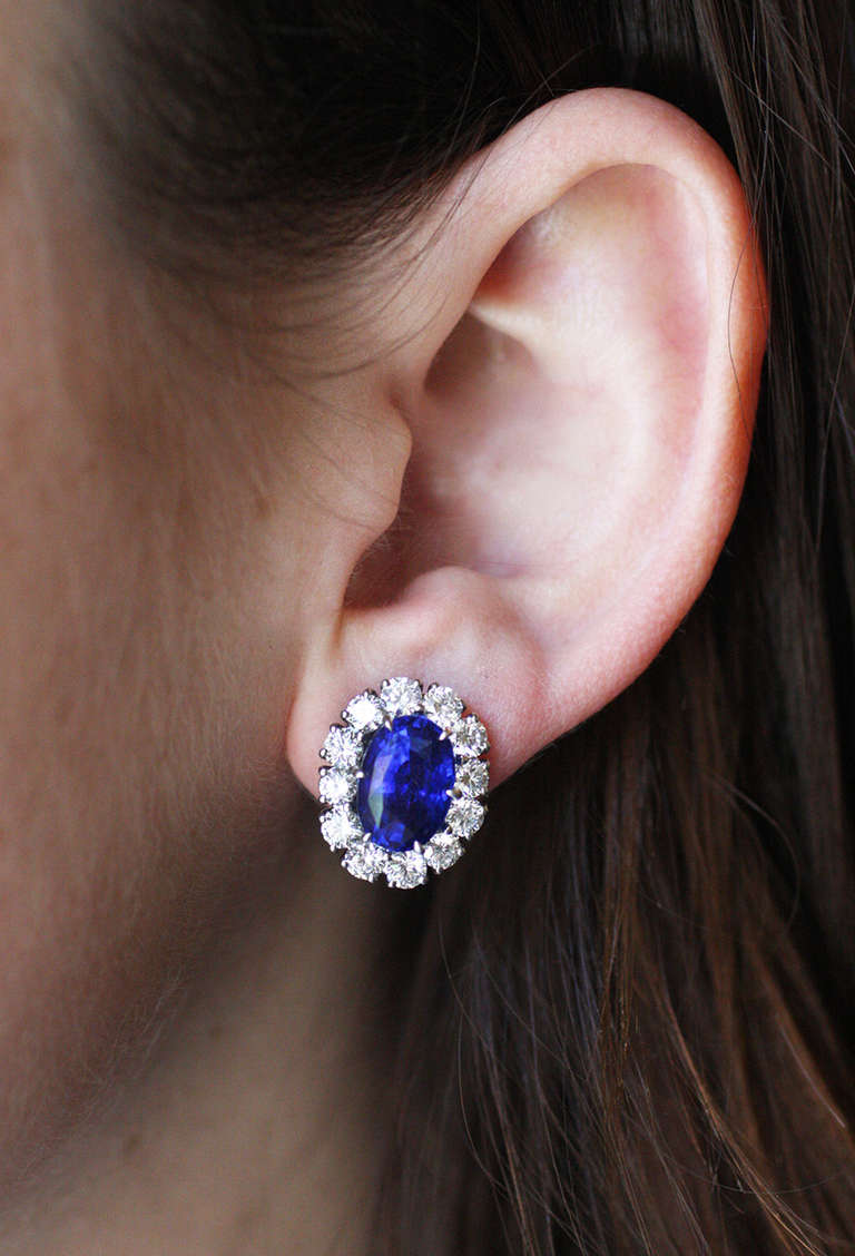 Julius Cohen Natural Sapphire & Diamond Earrings In New Condition In Brooklyn, NY