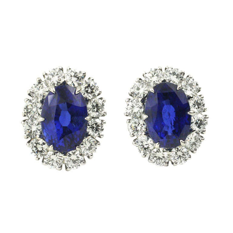 Julius Cohen Natural Sapphire & Diamond Earrings