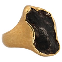 Jorge Adeler Ring aus 18-karätigem Gold Noir mit Sikhote-Alin-Meteoriten – Luxusschmuck